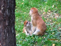 IMG_1985.jpg, 33kB
